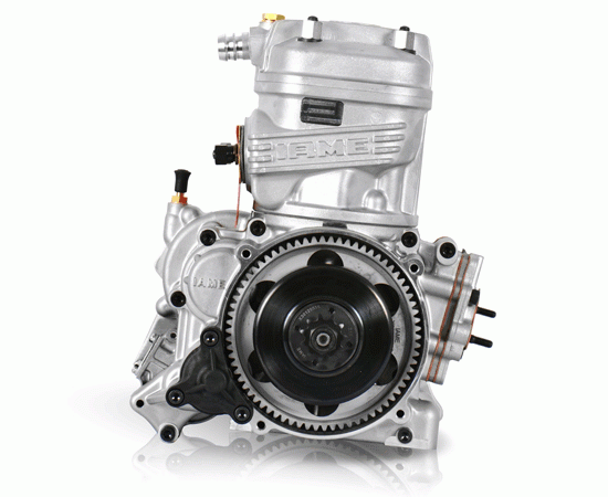 Bild 6 - engine IAME X30  senior type complete  model 2023
