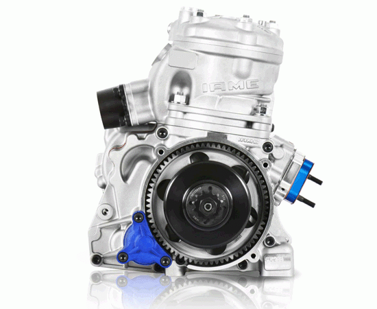Bild 6 - engine IAME X30  SUPER  175cc