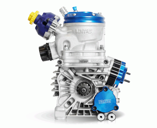 Bild 5 - engine IAME REEDSTER 5 class: OK