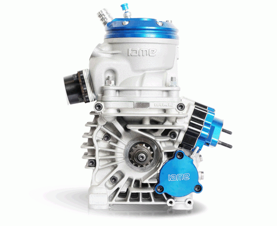 Bild 6 - engine IAME REEDSTER 5 class: OK-J