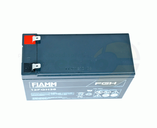 Bild 2 - No. 291 Battery FIAMM 12FGH36 12V - IAME Leopard