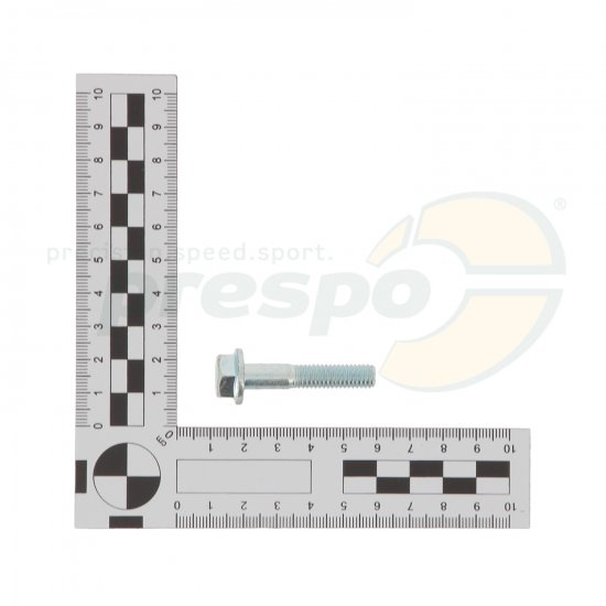 Bild 2 - screw for semi housing CRG M8x38mm