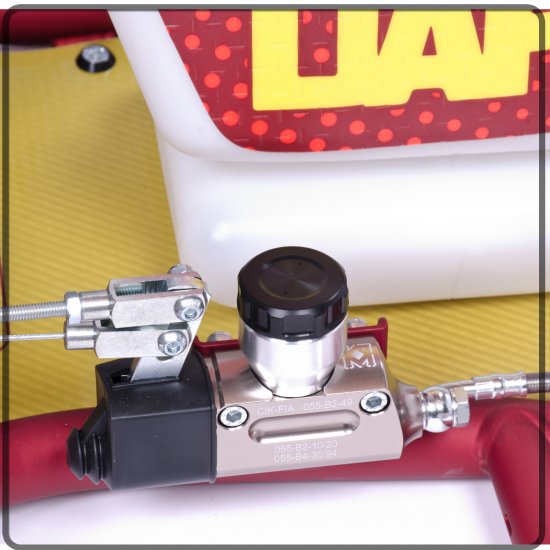 Bild 2 - Chassis DAP   model: DAP-1      class: OK  (direct drive)