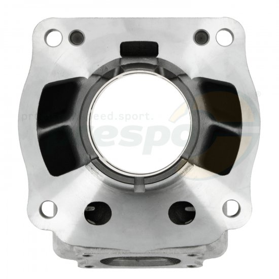 Bild 9 - No. 25A Cylinder - IAME REEDSTER V - OKJ