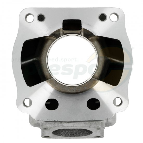 Bild 9 - No. 19A Cylinder - IAME Screamer IV 2023