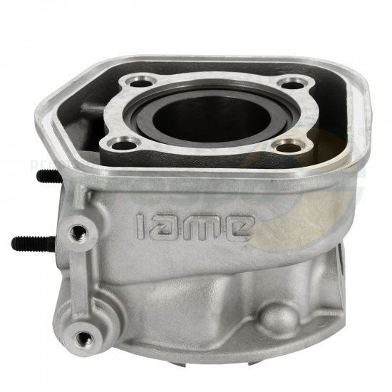 Bild 2 - No. 14 Cylinder - IAME Water Swift