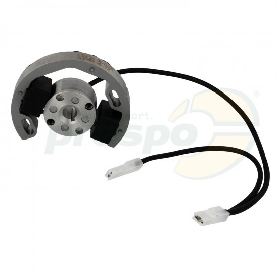 Bild 2 - No. 276A Ignition Selttra (Rotor + Stator) - IAME Water Swift