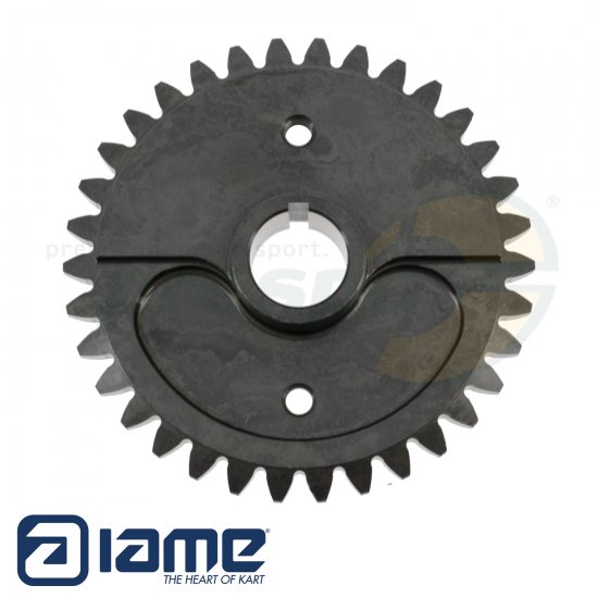 Bild 2 - No. 48 countershaft drive gear for balance shaft - IAME S125