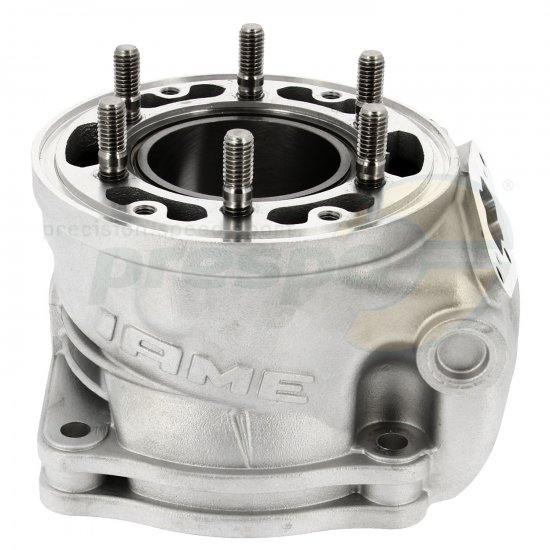 Bild 6 - No.25A Cylinder - IAME REEDSTER IV - OK