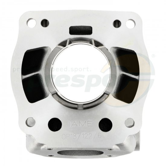Bild 9 - No.25A Cylinder - IAME REEDSTER IV - OK