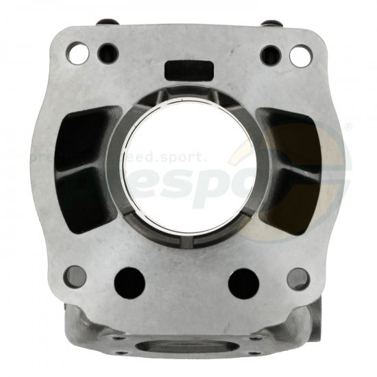 Bild 9 - No. 25A Cylinder - IAME REEDSTER IV - OKJ