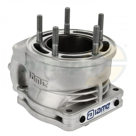 Bild 3 - No. 19A Cylinder - IAME X30 Super