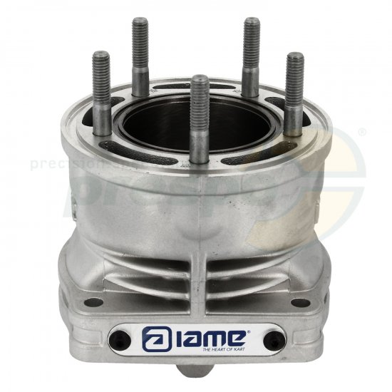 Bild 4 - No. 19A Cylinder - IAME X30 Super