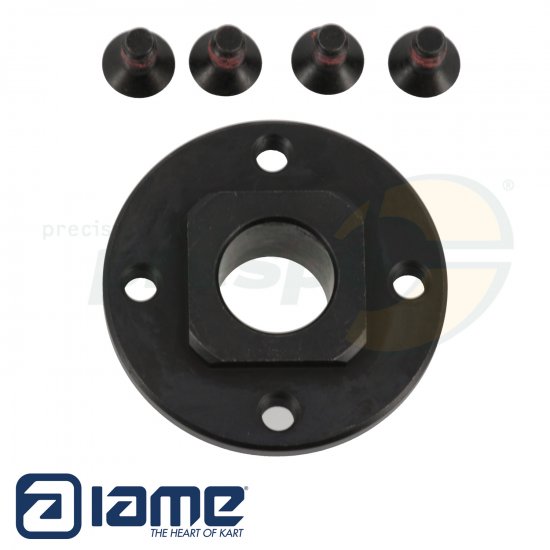 Bild 2 - No. 118A Engine sprocket ''Z10'' 10 Teeth - Clutch IAME Mini Swift