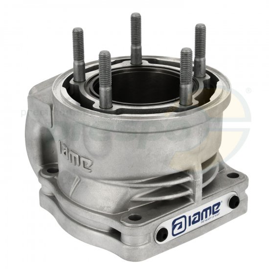 Bild 3 - Bild 19A cylinder IAME X30 SUPER SHIFTER
