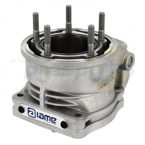 Bild 5 - Bild 19A cylinder IAME X30 SUPER SHIFTER