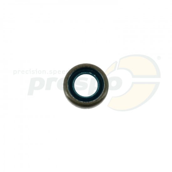 Bild 2 - pic 612 oil seal primary shaft IAME X30 SS