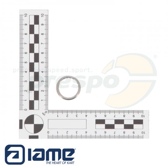 Bild 3 - pic 416 needle beraing clutch IAME Super Shifter
