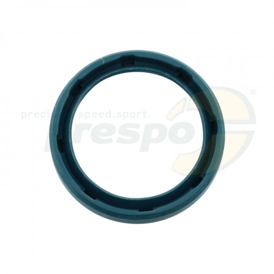 Bild 2 - pic 417 oil seal primary disc clutch IAME Super Shifter