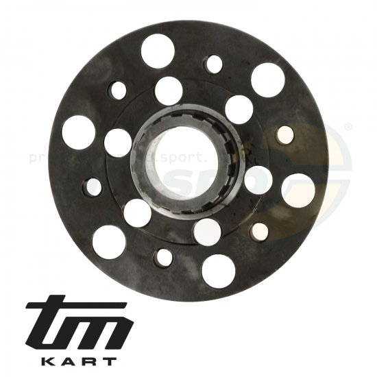 Bild 2 - pic 17 primary disk  clutch  TM KZ10C