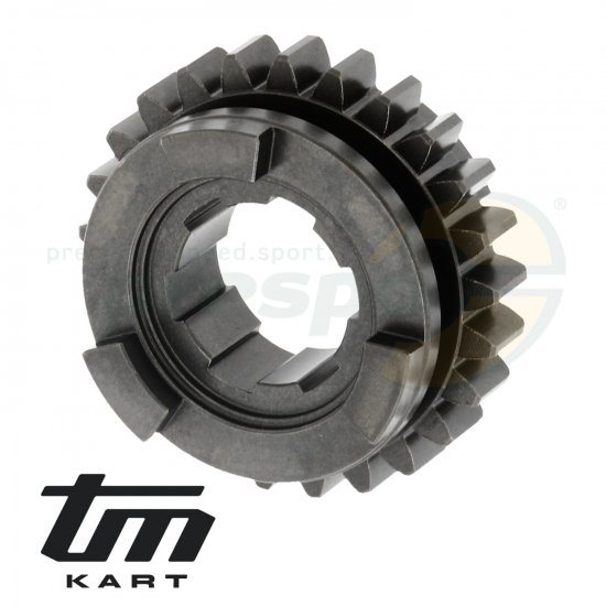Bild 2 - pic 11 gear wheel secondary shaft    6th  - TM KZ10B - model up from 2014