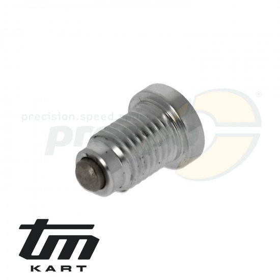 Bild 2 - pic 13 drain screw for gear oil with magnet TM KZ10C