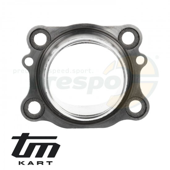 Bild 2 - pic 15 exhaust manifold TM KZ R1  - model: T29 P