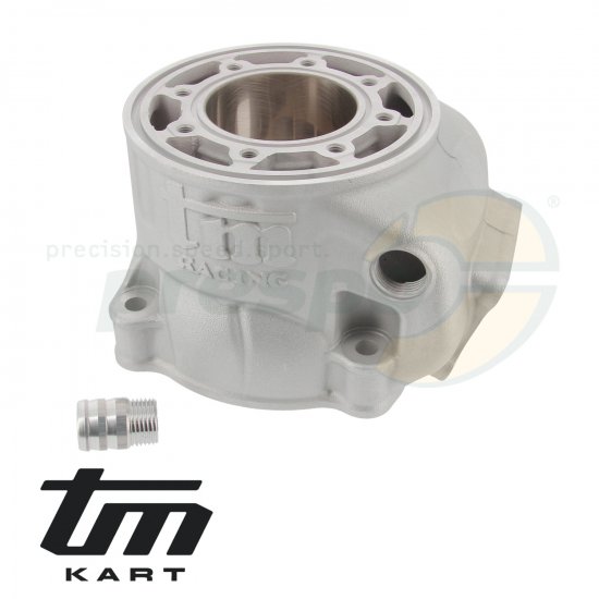 Bild 2 - pic 09 cylinder TM KZ R1