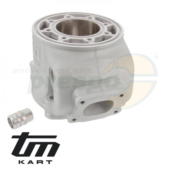 Bild 3 - pic 09 cylinder TM KZ R1