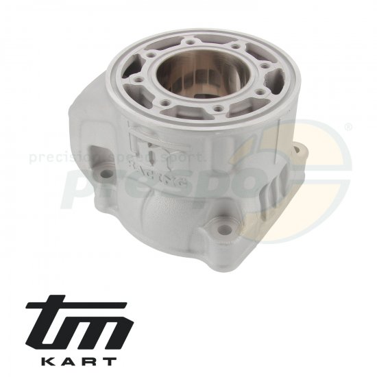 Bild 4 - pic 09 cylinder TM KZ R1