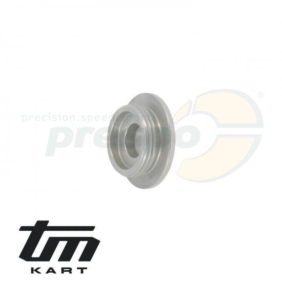 Bild 2 - pic 39 screw gear box cover TM KZ R1