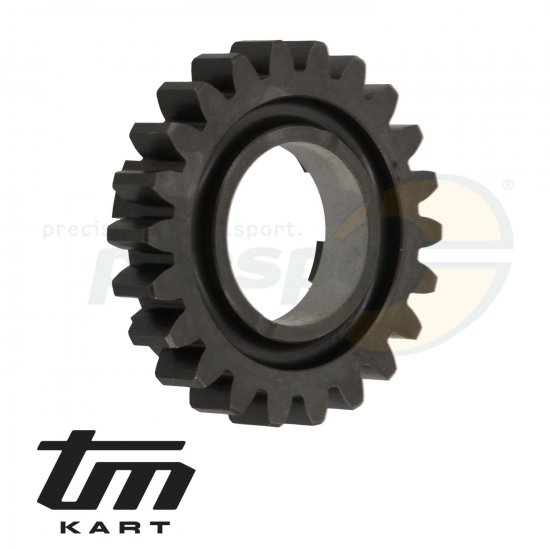 Bild 2 - pic 04 gear wheel primary shaft  5th - TM KZ R2