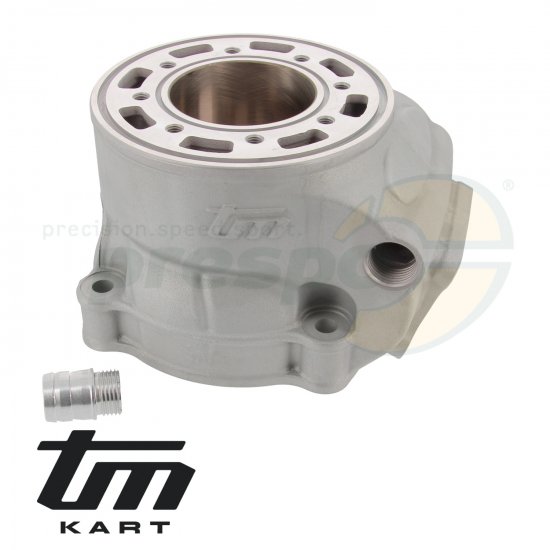 Bild 2 - pic 12 cylinder TM KZ R2 - PREPARATO