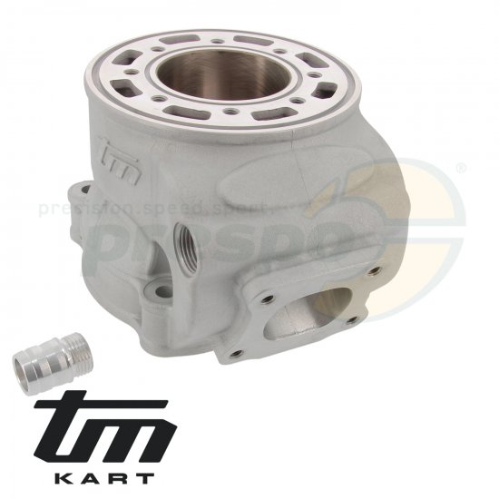 Bild 3 - pic 12 cylinder TM KZ R2 - PREPARATO