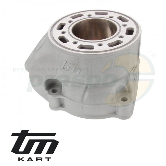 Bild 4 - pic 12 cylinder TM KZ R2 - PREPARATO