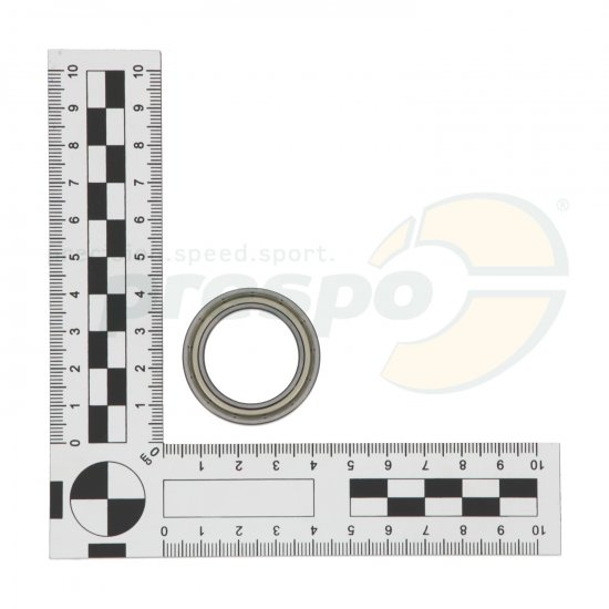 Bild 3 - bearing for front hub racing 25mm 61805-ZZ