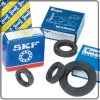 bearings and oil seals