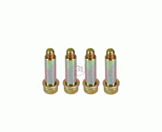 Bild 1 - screw for brake pad (M6 x 30mm)