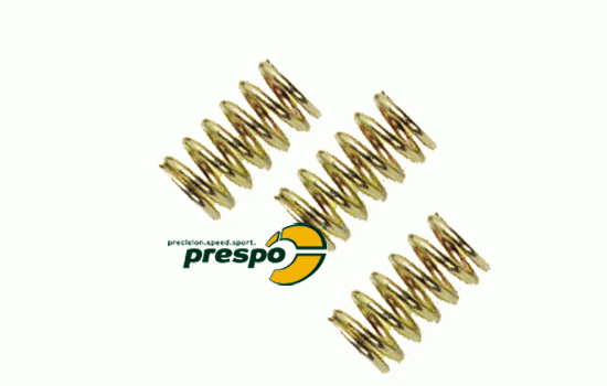 Bild 1 - spring for rear brake pad