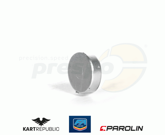 Bild 1 - magnet for piston brake caliper  KR/FA-KART    system: PAROLIN