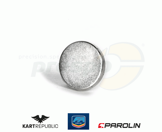 Bild 1 - magnet for piston rear brake caliper  KR/FA-KART    system: PAROLIN