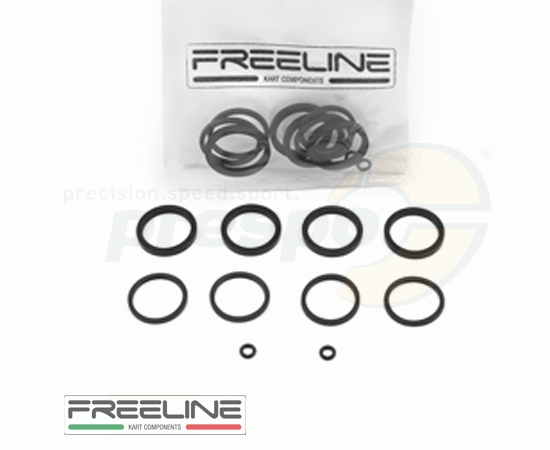 Bild 1 - pic 15 kit of gaskets for brake caliper FREE-LINE RR-125X4 H16
