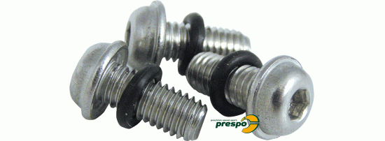 Bild 1 - safety screw for wheel M5  Douglas type