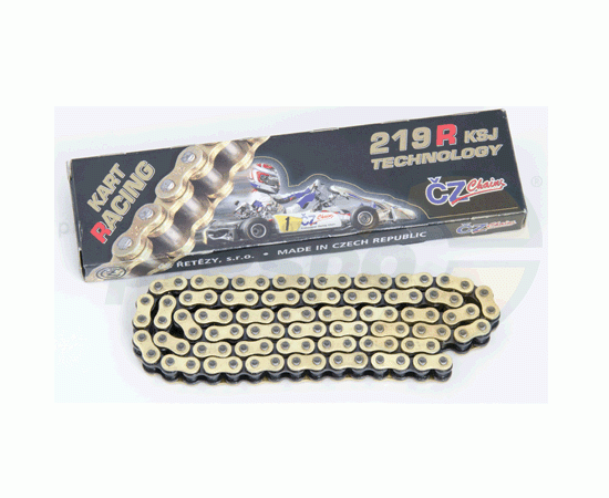 Bild 1 - chain CZ - ORS  type: 219 (O-Ring)  length: 098 links