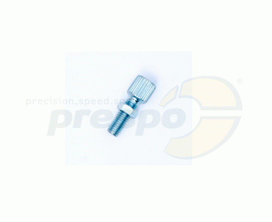 Bild 1 - pic 11 adjustment screw Dellorto