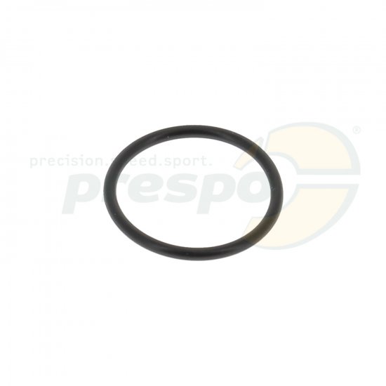 Bild 1 - pic 31 O-Ring