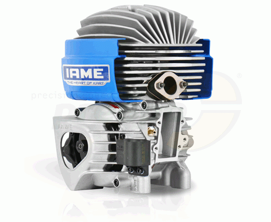 Bild 1 - engine IAME Mini Pro-M      60cc