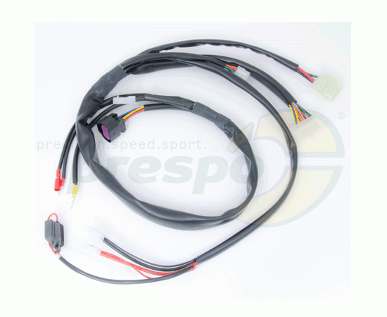 Bild 1 - No. 299 Wiring Harness model 2013 - IAME X30