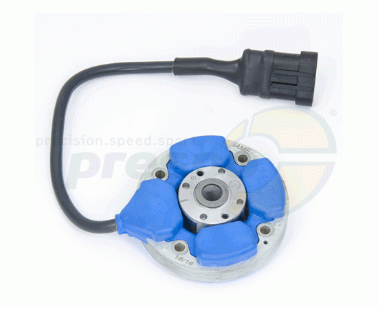 Bild 1 - No. 276A Ignition Selettra Digital ''S'' - IAME X30 Super Shifter