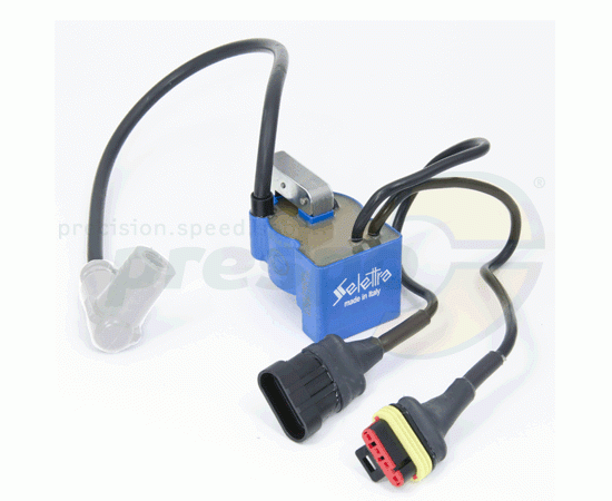 Bild 1 - No. 273 Ignition coil Selettra Digital ''S'' Type: C - IAME S125